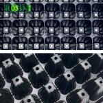 Custom PVC Plastic Black Plastic Seed Trays 288 Hole For Agricultural Planting