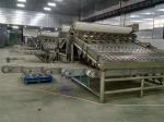 1500KG Fish Shrimp Grader Machine Multipurpose For Industrial