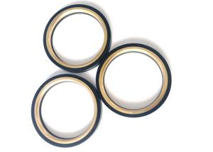 Wholesale Industrial Hammer Union Seal / Oil Lip Seal With Brass Backed Rings from china suppliers