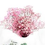 Colorful Dried Baby'S Breath Bouquet , Preserved Baby'S Breath For Gift