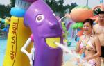 PVC , fiberglass Material Water park toys with water pump in sprayground