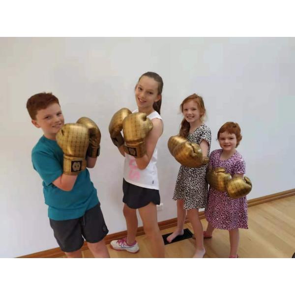 Sublimated Sports Exercise Boxing Gloves 14OZ Gloves For Heavy Bag