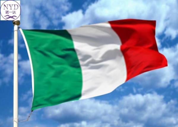 Sea DDP DDU Freight Forwarding From China To Italy International Freight
