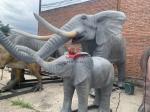 Theme Park Realistic Animatronic Animals Life Size Elephant Customized