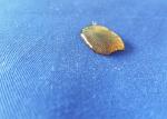 Woven Textile Wrinkle Proof Fabric Waterproof Blue 100% Cotton Material
