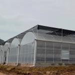 Clear 200 Micron Film Coverd Polycarbonate Greenhouse Kit Multi Span Greenhouse