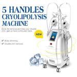 5 Handles Cryolipolysis Fat Freezing Machine Body Sculpting Machine For Fat