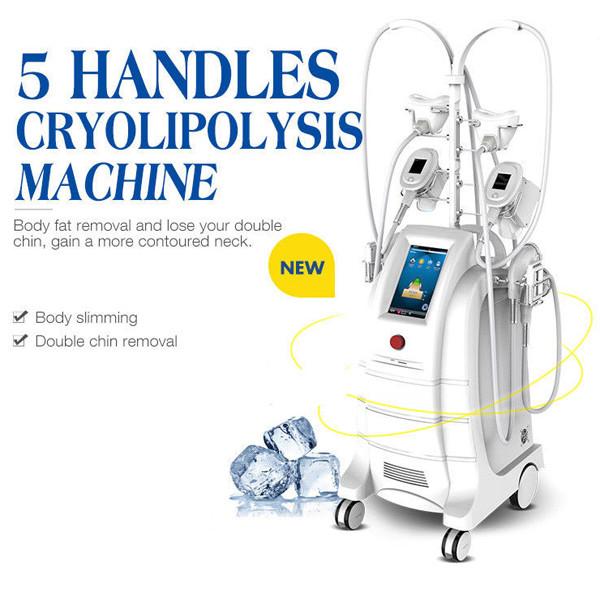 5 Handles Cryolipolysis Fat Freezing Machine Body Sculpting Machine For Fat