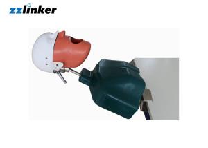 Wholesale Dental Study Model Dental Manikin Phantom Head withTorso for Dental practice from china suppliers
