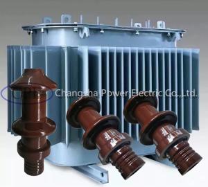 Wholesale DIN Standard 10000V 10NF250 Transformer Porcelain Bushing OEM available from china suppliers