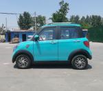 Raysince latest model electric vehicle hot sales right hand frive electric car