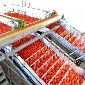 Wholesale Multifunctional Canning Production Line For Tinned Tomatoes From Leadworld Industrial from china suppliers