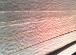 African Figured Makore Wood Veneer Sheet Quarter Cut