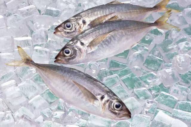 Seafood Cold Storage Walk In Freezer Meat Ice Cream Freezer Room