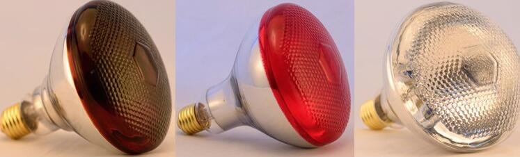 Red infrared lamp 100W 150W 175W 200W 250W 275W animal chicken pig pet therapy infrared heating bulb