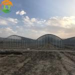 Film Cover Metal Frame Greenhouse Easy to Install and Ideal for Growing Various