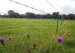 Agriculture 2.5mm Galvanized Barbed Wire