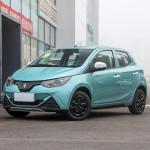 Exclusive Interiors Small Electric Car EV2 Max. Speed 100 Km/h High Performance