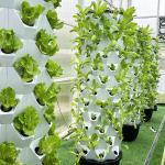 65L 6 Layer 48 Holes Garden Vertical Farming Agricultural Hydroponics Tower