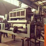Rotary Egg Tray Machine Economic Speed 6s/times Waste Paper Consumption 150kg/h