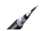Double steel wire armored fiber optic cable Aluminium FE sheath