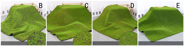 Green Silk Cloth Moss Artificial Grass Vertical Garden Wall Panles Size 1*1m
