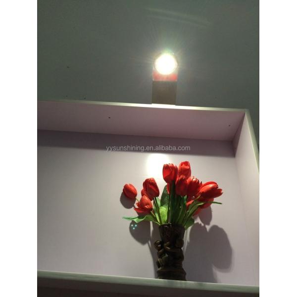 180lm Luminous Flux LED Over Cabinet Wardrobe Lighting for Wall Mounted Picture and Shelf
