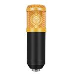 BM 800 2.5m Small Diaphragm Cardioid Condenser Microphone