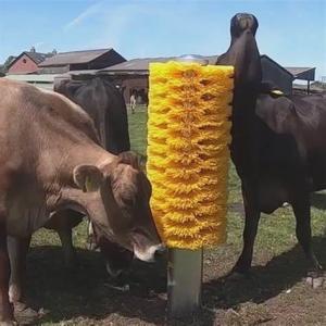 Wholesale Animal Body Cleaning Machine Cow Body Brush from china suppliers