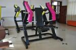 Commercial Gym Plate Loaded Steel Chest Press For Bodybuilding Back Arm