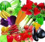 Automatic Stainless Steel Fruit Vegetable Processing Machine Electric Double