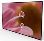 Arc Design 300 Nits 43" Wall Mounted Digital Signage
