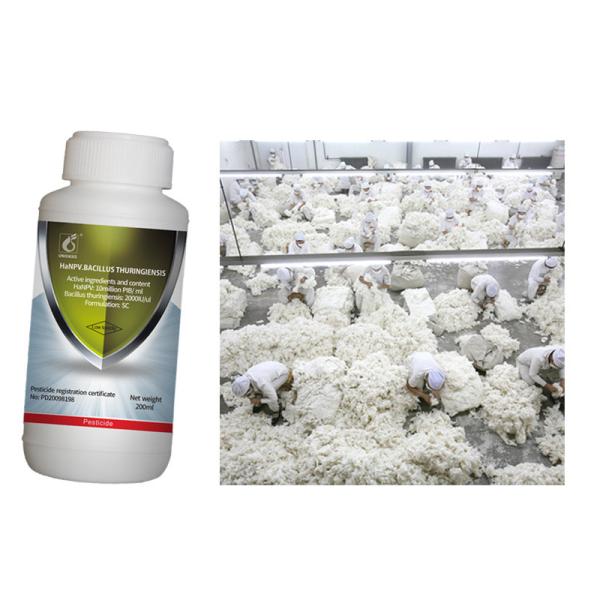 Cotton Crop Pesticides Pure Biological Preparation Cotton Planting Farm Control