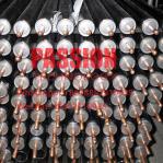 Stainless Steel Presssure Solar Water Heater 300L Compact Pressure Solar Water
