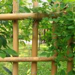 Construction Bamboo Raw Material