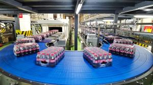 Wholesale Automatic Carbonated beverage production line from china suppliers