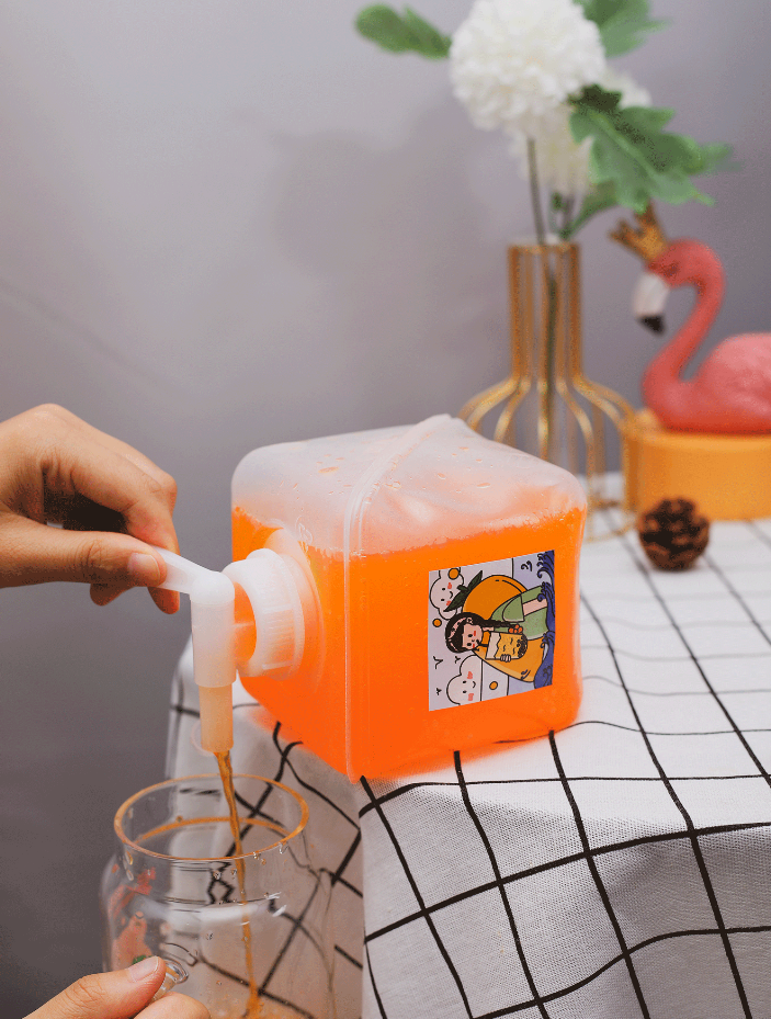 Square 5L 10L 20L LDPE Collapsible Foldable Liquid Carrier Soft Bag for Outdoor Camping