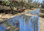 Apple Tree Greenhouse 12 Micron Agriculture Film Biodegradable
