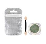 OEM/ODM Yes. Holographic Nail Powder for Poleyster Nails High Standar
