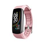 ECG PPG Fitness Smart Band