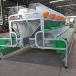 2400 * 2000 * 1500mm Farm Rabbit Cage Q235 Steel Wire / Plastic Material