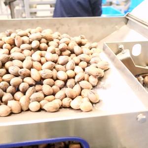 Wholesale 380V Dry Cracking 24000 Pieces Pecan Shelling Machine With High Perfect Kernel Rate from china suppliers