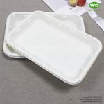 Disposable Use Corn Starch Food Tray,Good Price Nature Color Biodegradable Meal
