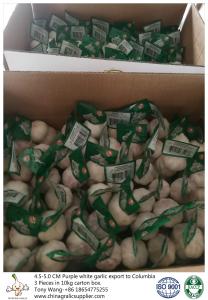 Wholesale Garlic to Columbia; package: 3 pieces in 10 kg carton box; Size: 4.5-5.0 cm; Normal white garlic. from china suppliers