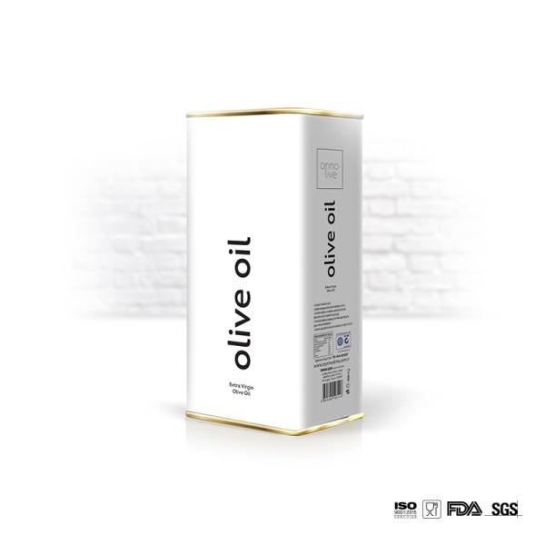 DADI Food Oil Can 3L Rectangular Tinplate Olive Oil Container with Handle Imported Spout Lid