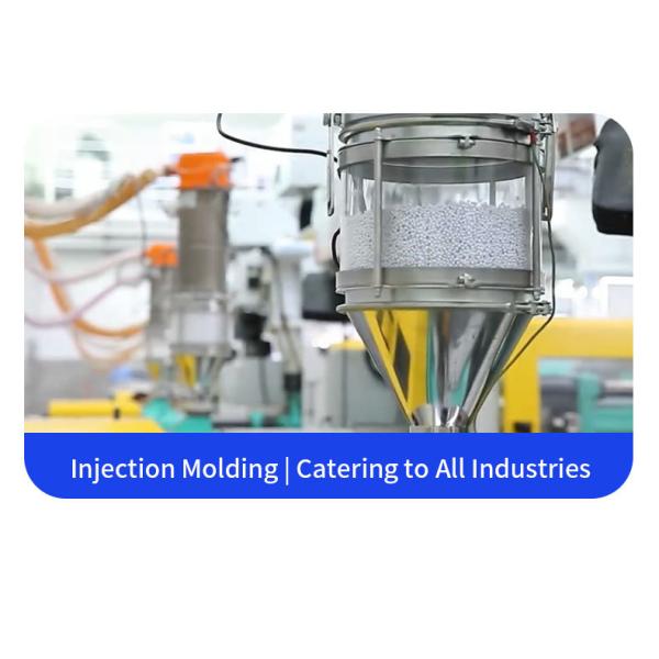 Custom Plastic Injection Mold for Dual Dog Leash Production