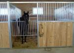 Farm Outdoor Portable Horse Stall Panels , 2200mm Height Horse Stable Gates