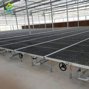 Wholesale HDG Steel Frame Greenhouse Plant Tables 50*100mm Mesh Nursery Potting Benches from china suppliers