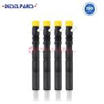 Diesel Common Rail Fuel Injector EJBR03301D for JMC JX493ZLQ3A