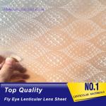 PLASTIC LENTICULAR 3d 360 lenticular printing sheet PP fly-eye lenticular sheet
